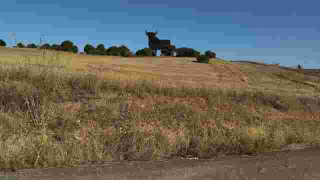 Toro de Osborne