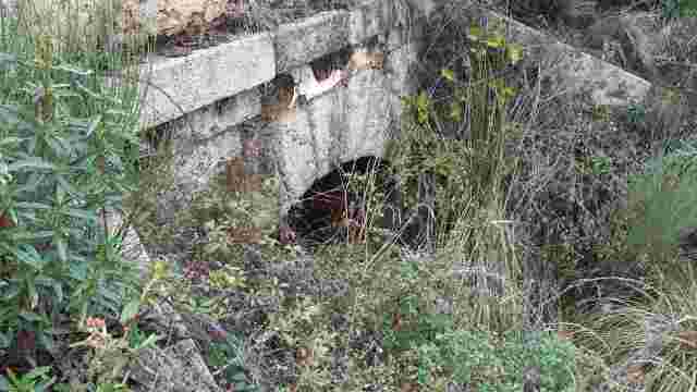 Alcantarilla sobre afluente del arroyo Helechosillo