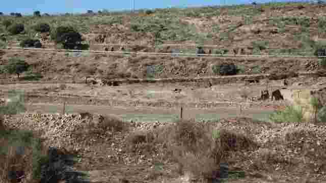 Muros de sostenimiento en la bajada al río Almonte