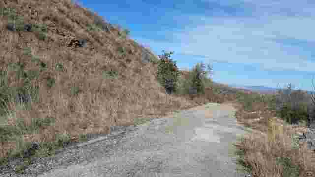 Kerbs and kerb stones